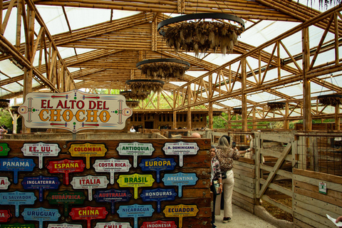 Guatapé Tour: Alto del Chocho Farm & Piedra del Peñol