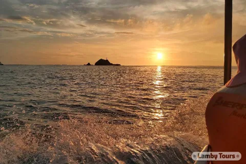 Huatulco: Sunrise Dolphin Watching with Beach Visit