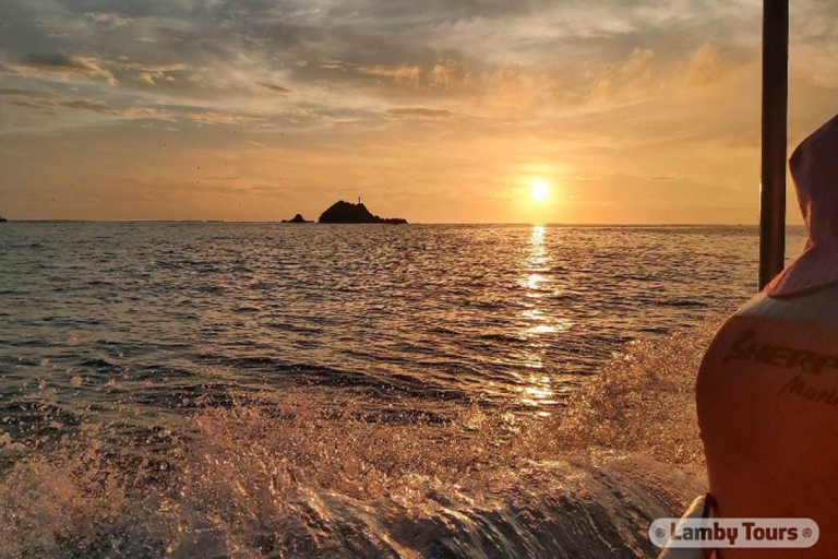 Huatulco: dolfijnen kijken bij zonsopgang met strandbezoek