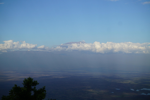 Moshi: *Com tudo incluído* Caminhada de um dia no Kilimanjaro (Rota Marangu)