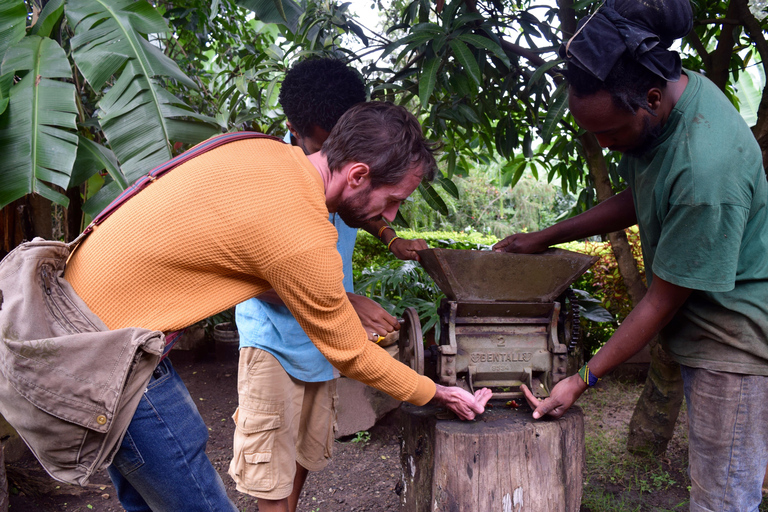 Arusha: Coffee Tour &/Or Pottery Lesson Coffee Tour & Pottery Lesson