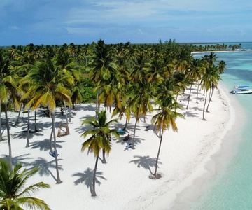 From La Romana: Saona Island for Aida Cruises Passengers