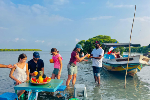 From Negombo: Boat Tour of Negombo Lagoon