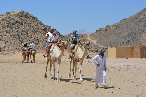 Marsa Alam: Desert Quad Bike, Camel Ride, and Bedouin Tour