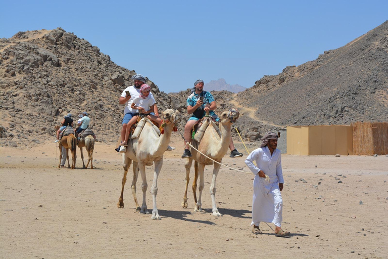Marsa Alam: Desert Quad Bike, Camel Ride, and Bedouin Tour