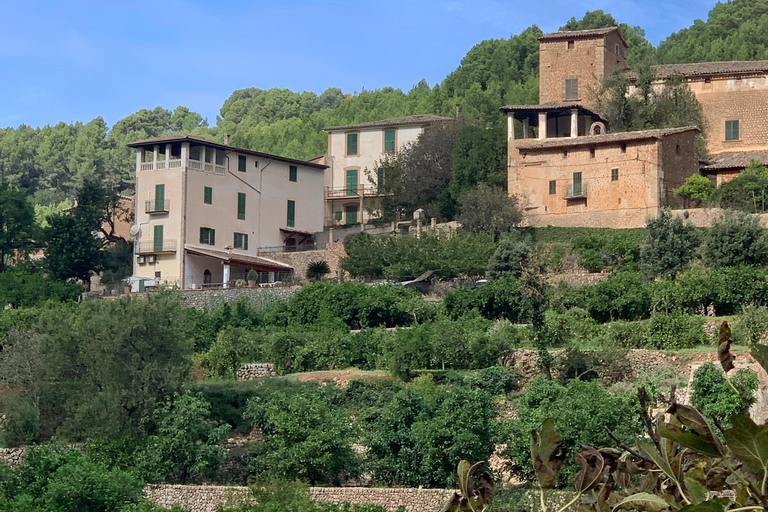 Fornalutx town and hiking to the mountains olive farm