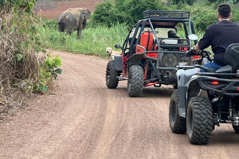 Pattaya: Jungle ATV & Buggy Ride on Custom-Built Trails 4-Seater Buggy Full Vehicle (up to 4 people)