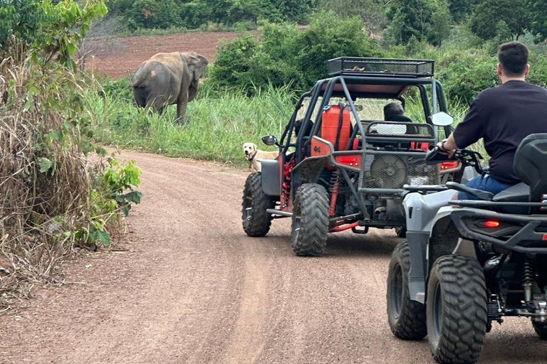 Pattaya: Jungle ATV & Buggy Ride on Custom-Built Trails 4-Seater Buggy Full Vehicle (up to 4 people)