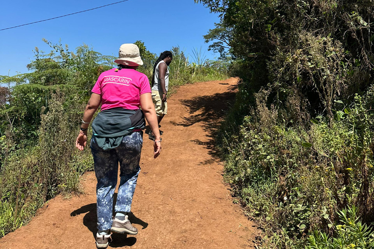 Moshi/Arusha: Chemka Hot Springs Materuni Waterfall Day tour 2 in 1 : Materuni & Chemka tour from Moshi
