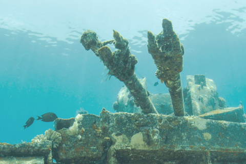 Aqaba: Dive Packages with Kits Start from 1 day to 5 days 3 Days - 6 Dives