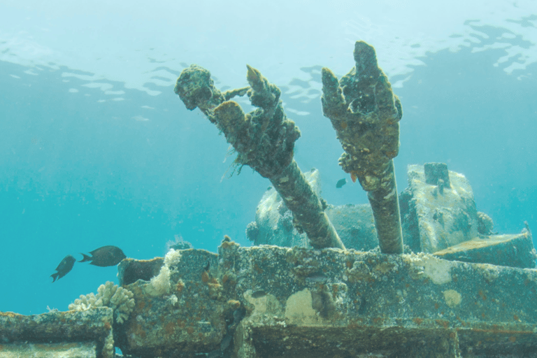 Aqaba: Dive Packages with Kits Start from 1 day to 5 days1 Day - 2 Dives