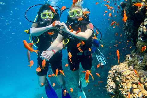 Sharm el-Sheikh: Ras Mohammed & White Island Dive & Snorkel Option 2: Certified Divers - Including Equipment