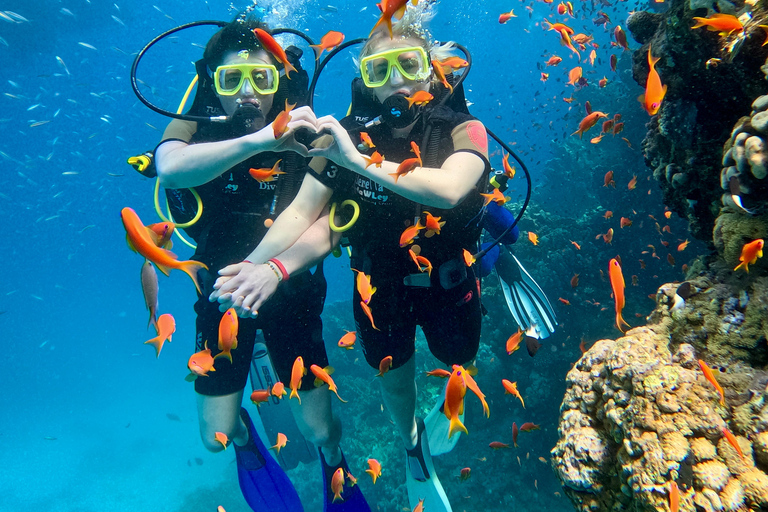 Sharm el-Sheikh: Ras Mohammed & White Island Dive & Snorkel Option 2: Certified Divers - Including Equipment