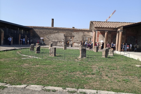 Da Napoli: Tour guidato Vesuvio-Pompei e degustazione di viniDa Napoli: tour enogastronomico della costiera sorrentina e vesuviana