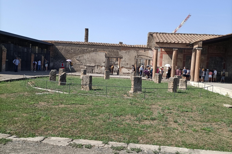 Da Napoli: Tour guidato Vesuvio-Pompei e degustazione di viniDa Napoli: tour enogastronomico della costiera sorrentina e vesuviana