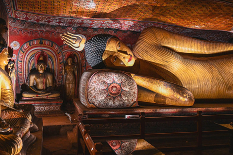 Sigiriya Rock Hike & Dambulla Tuk Tuk Day Tour Sigiriya Hike, Dambulla Cave Temple, Village Tour & Safari