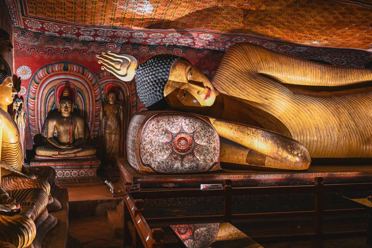 Sigiriya Rock Hike & Dambulla Tuk Tuk Day Tour Sigiriya Hike, Dambulla Cave Temple, Village Tour & Safari