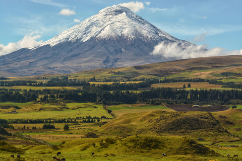 Quito: Full-Day Cotopaxi Horseback Tour & Volcano Views
