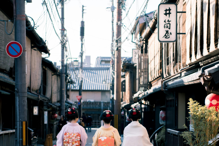 Osaka: Excursión de un día a Kioto en Shinkansen - Perfecto para cruceros