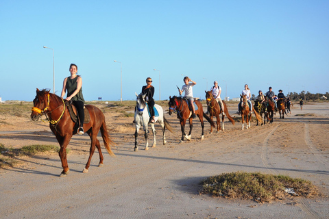 DJERBA: KAMEEL EN PAARD (2U30).