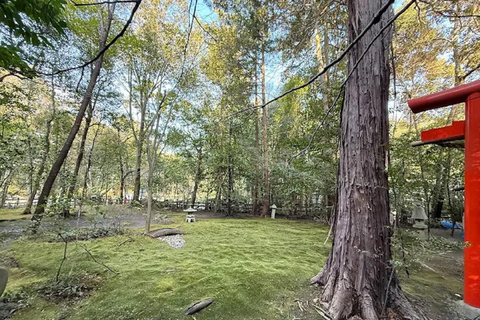 Kyoto: Guided Tour of Great Festivals and Cultural Events 8-Hour Romantic Couple’s Tour in Kyoto