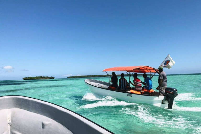 Wioska Matemwe: Półdniowa wycieczka Snorkeling na wyspie Mnemba