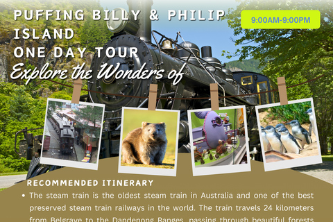 Melbourne: Puffing Billy Railway &amp; Phillip Island Day Trip