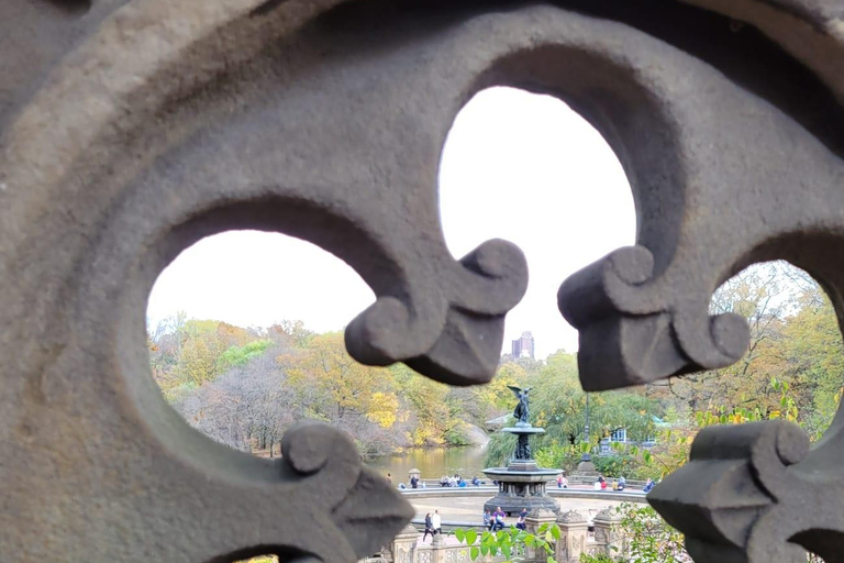 Guided Pedicab Tour in Central Park
