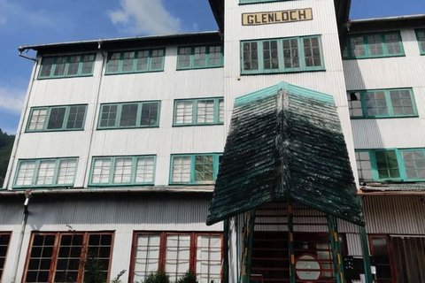 Kandy: Sir James Taylor’s Loolkandura Tea Heritage Hike