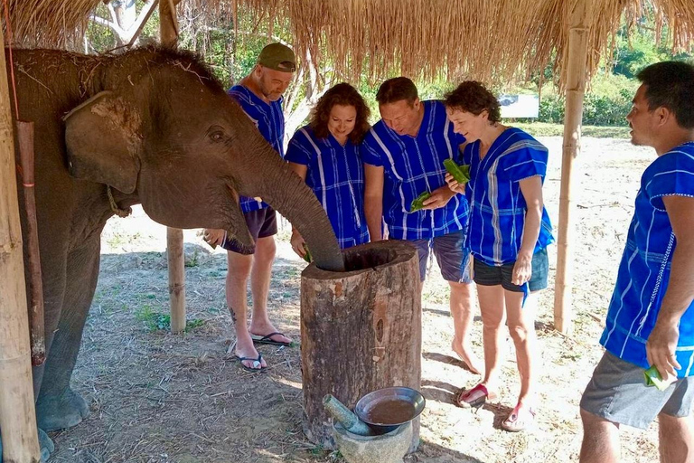 Chiang Mai : Visite de deux jours du sanctuaire du Temple des éléphants