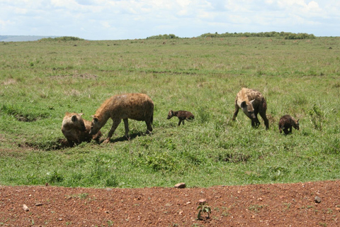 Safari dans le Kenya sauvage Explorez Amboseli, Tsavo Ouest et Tsavo Est 4 joursSafari sauvage au Kenya : découvrez Amboseli, Tsavo Ouest et Tsavo Est en 4 jours