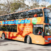 Katoomba: Lyrebird Hop-On Hop-Off and Scenic World Pass Katoomba: Lyrebird Hop-On Hop-Off and Scenic World Pass