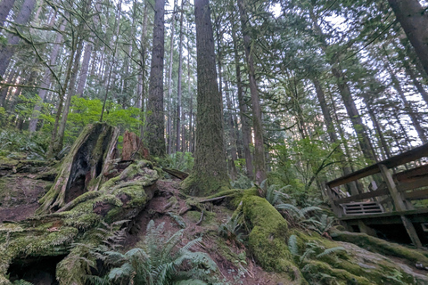 Grouse Mnt+StanleyPark+Hatchery+Cleveland Dam+LynnCanyonTOUR Shared Tour