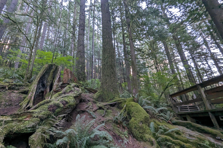 Grouse Mnt+StanleyPark+Hatchery+Cleveland Dam+LynnCanyonTOUR Shared Tour