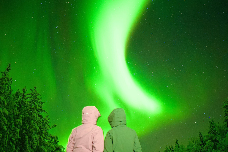 Rovaniemi: ✅ Northern Lights 100% Guarantee & Free Photos ✅ ✨ Small Group Northern Lights Hunting - Max 8 People ✨