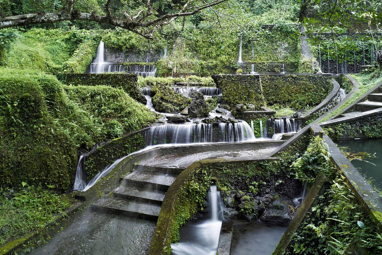Ubud: rituale di purificazione balinese e workshopRituale di purificazione Melukat al tempio Tirta Empul