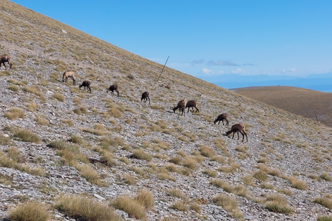 Athènes au Mont Olympe : visite privée de 2 jours