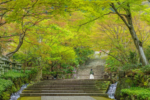 Osaka: Katsuoji Temple Guided Tour with Bus Transfer Private Tour in English with Meeting Point