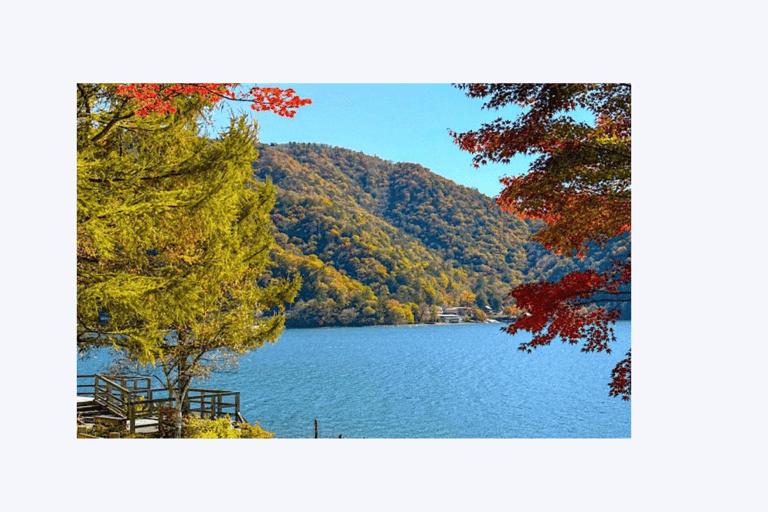 Desde Tokio: Tour privado de un día por Nikko