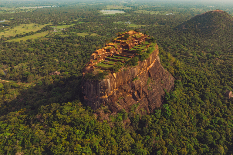 Sigiriya / Pidurangala & Dambulla Caves Tour by Local Expert