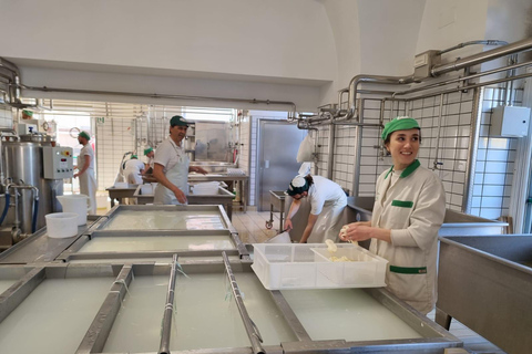 e-bike ring tour between Locorotondo and Martina Franca e-bike tour Locorotondo, Martina Franca and visit to a dairy