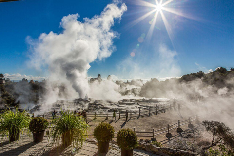 Desde Auckland: Excursión de un día a Te Puia y las cuevas de Waitomo