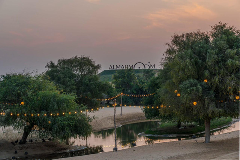 Dubai: Full-Day Desert Safari, Wildlife at Al Marmoom Oasis Shared Tour & Shared Tent