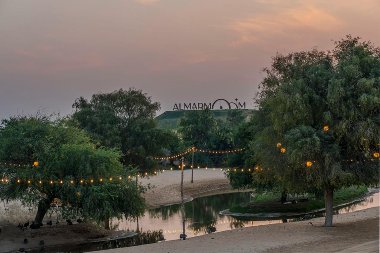 Dubai: Full-Day Desert Safari, Wildlife at Al Marmoom Oasis Shared Tour & Shared Tent