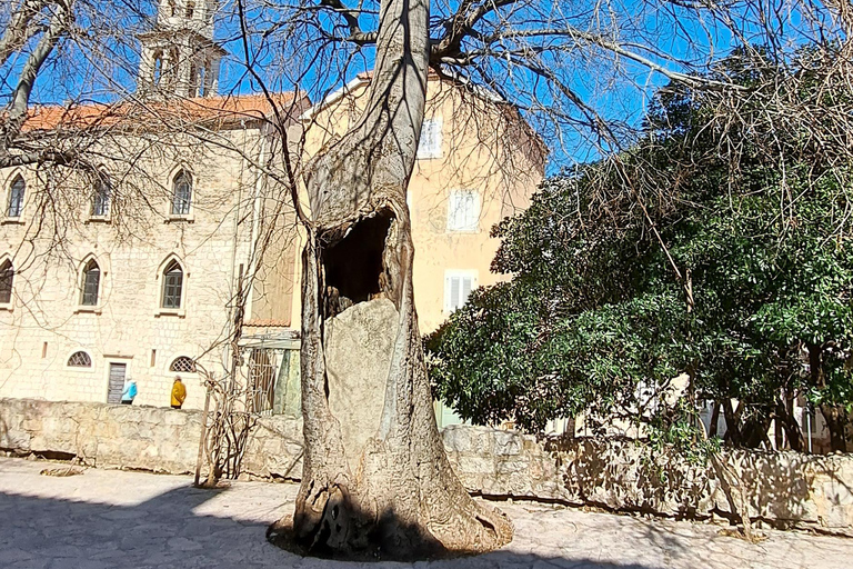 Privétour naar Montenegro, Perast, Kotor en Budva