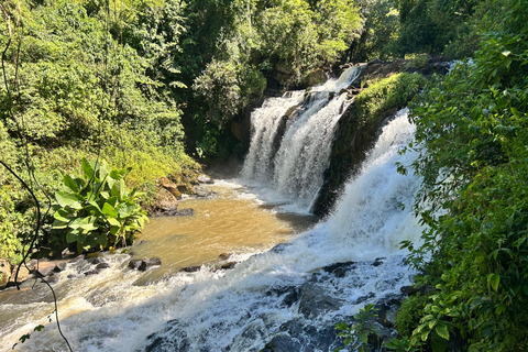 Essence of Iguazú: Full-Day Tour of Iguazú Falls (Brazil Side) and São João Trail Essence of Iguaçu: Full Day at Iguaçu Falls, Brazil, and São João Trail
