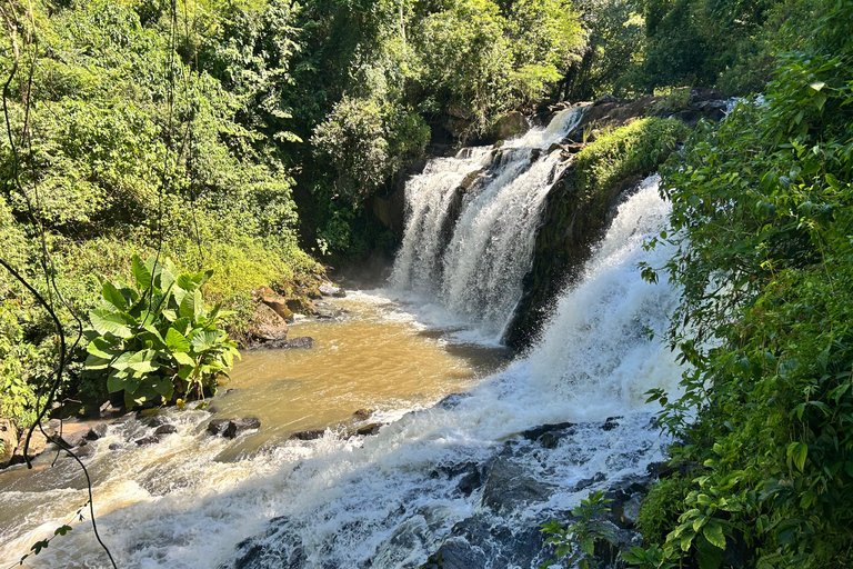 Essence of Iguazú: Full-Day Tour of Iguazú Falls (Brazil Side) and São João Trail Essence of Iguaçu: Full Day at Iguaçu Falls, Brazil, and São João Trail