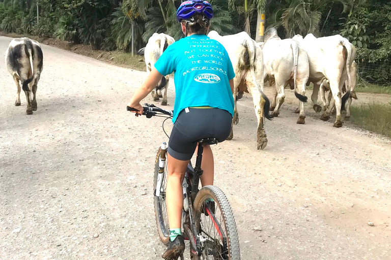 Passeio de bicicleta de montanha pela selva e mergulho na cascataPasseio de bicicleta de montanha pela selva e mergulho na cachoeira