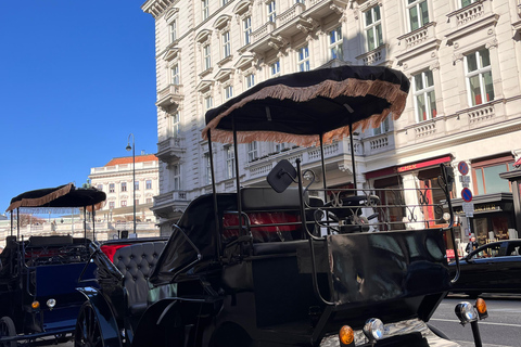 Vienna: Royal E-Carriage Sightseeing Tour incl. Prosecco60 min. Private Royal E-Carriage Tour with drinks