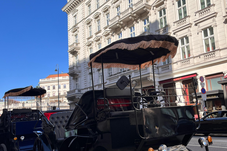 Vienna: Royal E-Carriage Sightseeing Tour incl. Prosecco60 min. Private Royal E-Carriage Tour with drinks
